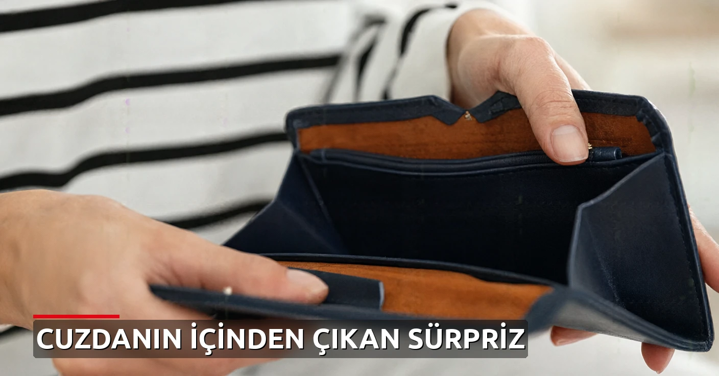 Bit pazarından aldığı cüzdanın içinde 100 dolar çıktı: Asıl sürpriz banknotun tarihide saklıydı