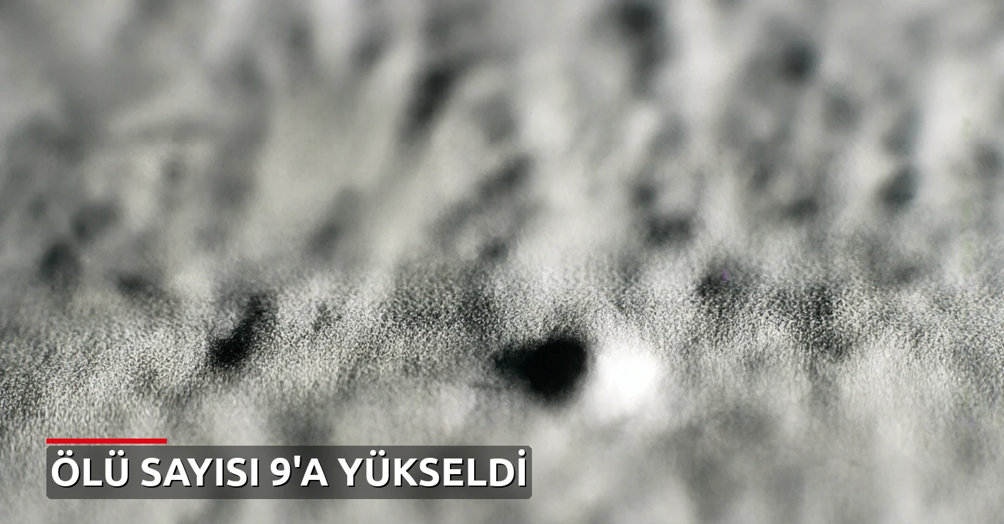 Hollanda'da Batı Nil Virüsü: Ölü Sayısı 9'a Yükseldi