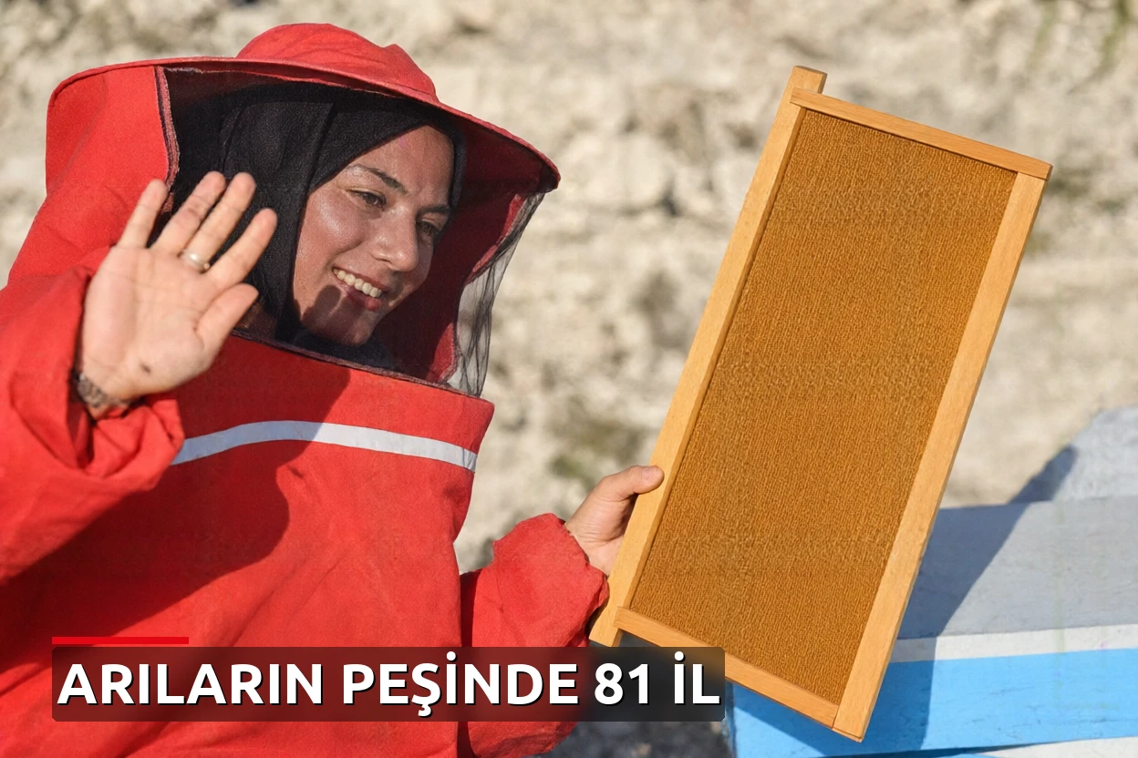 Diplomasını aldı, 22 yaşında arıcılığa başladı: Arıların peşinde Türkiye'yi dolaşıyorum