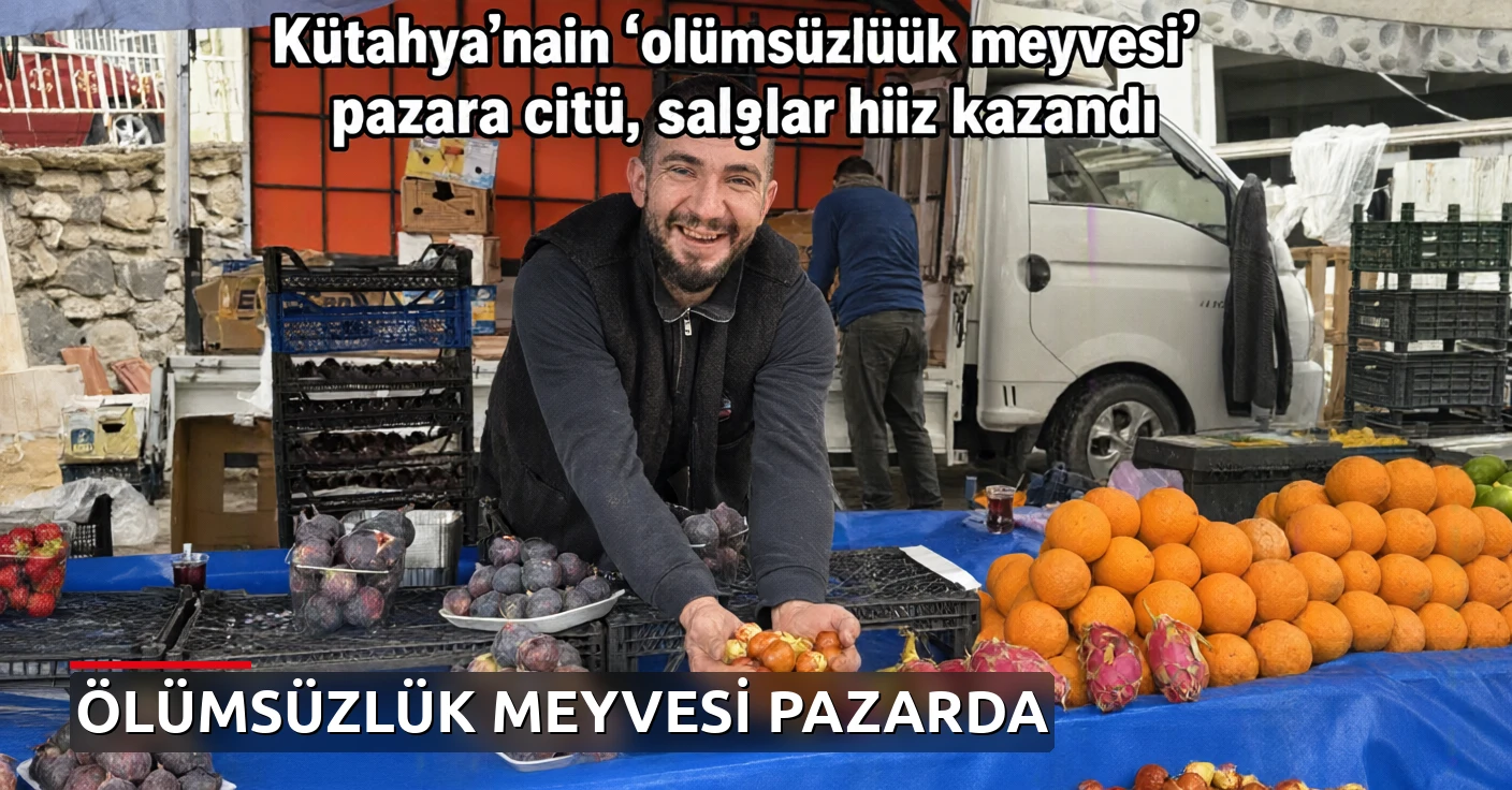 Kütahya'nın 'ölümsüzlük meyvesi' pazara çıktı, satışlar hız kazandı