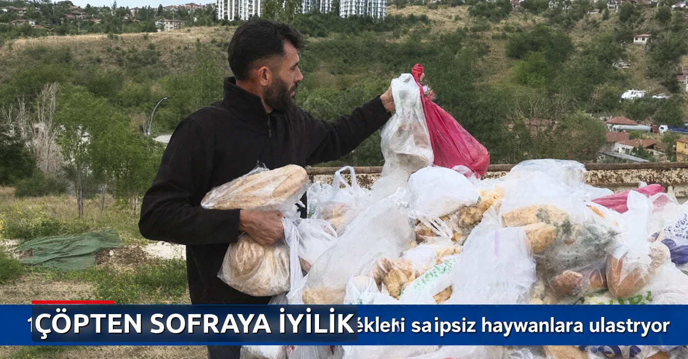 14 aydır sokaklardan topladığı ekmekleri sahipsiz hayvanlara ulaştırıyor