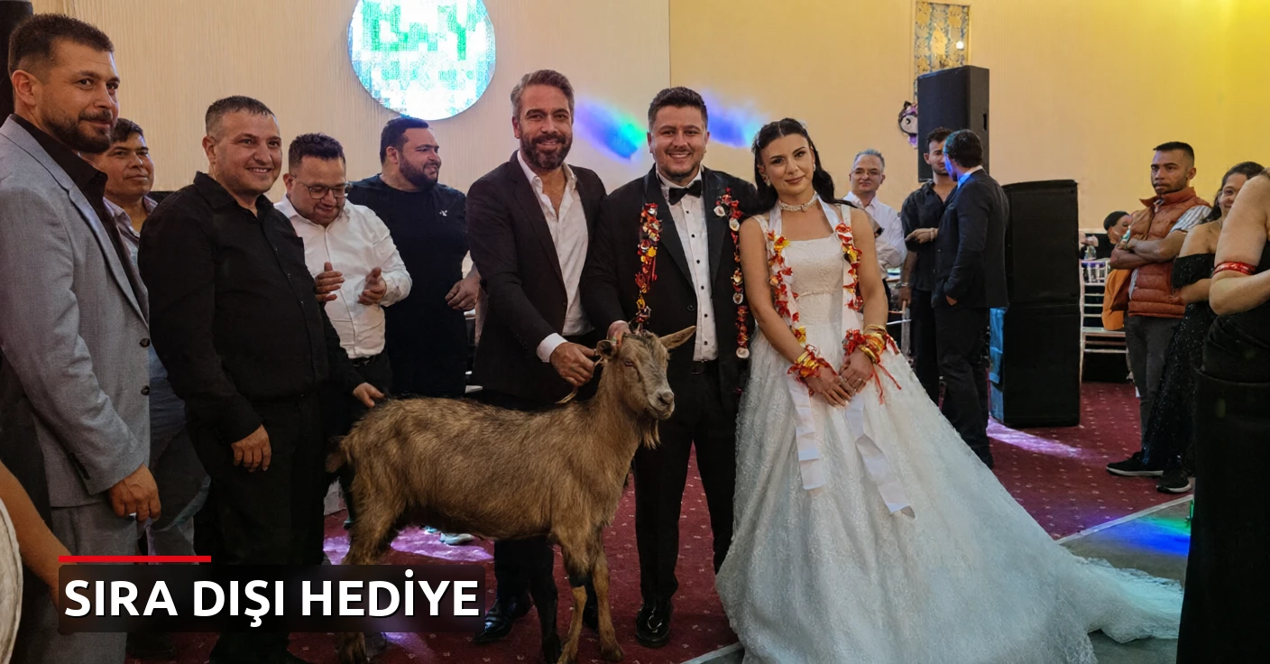 Düğünde gelin ve damada keçi hediyesi