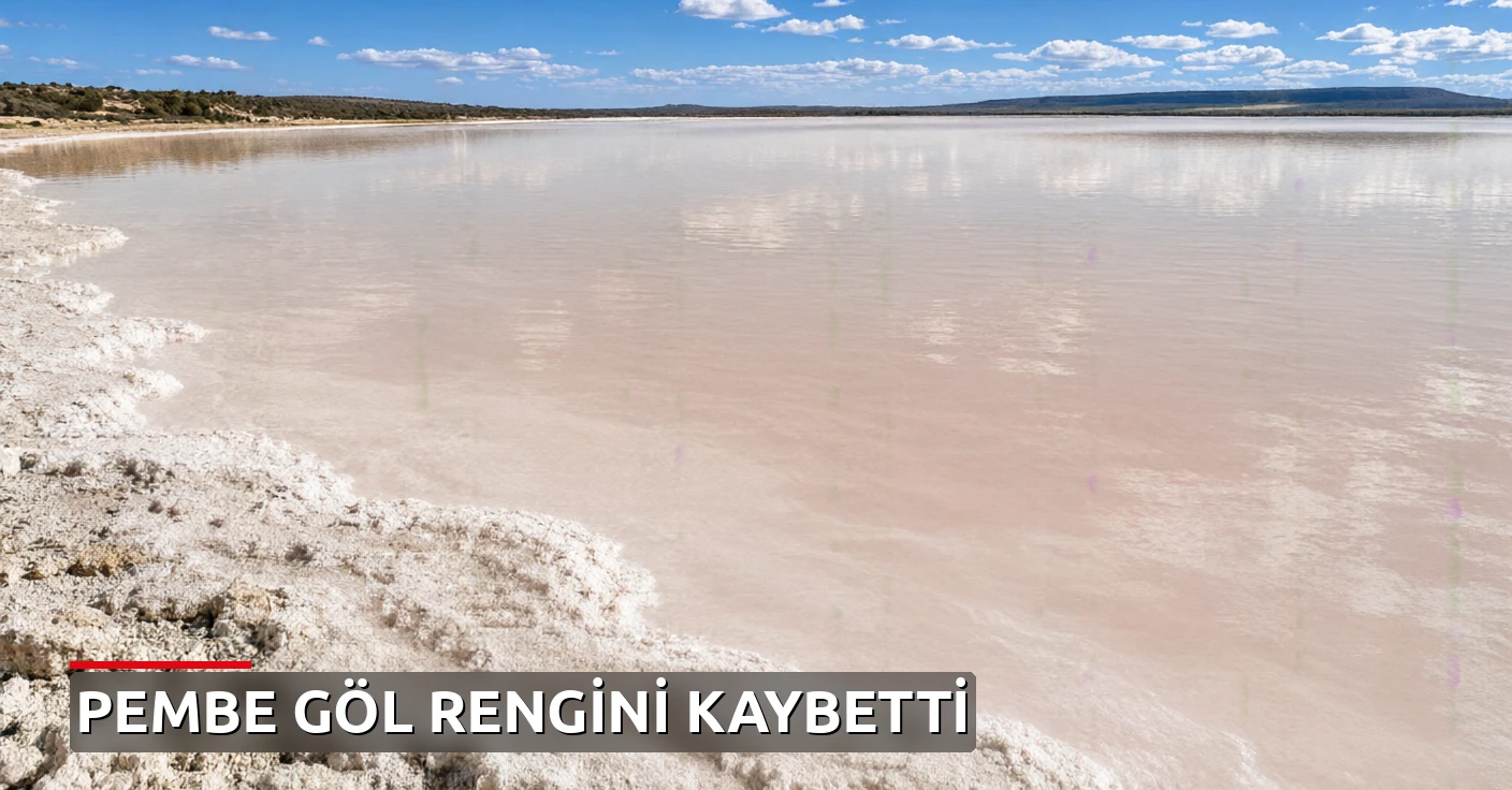 Avustralya'da pembe Lake Spencer bir anda rengini kaybetti: Nedeni ortaya çıktı