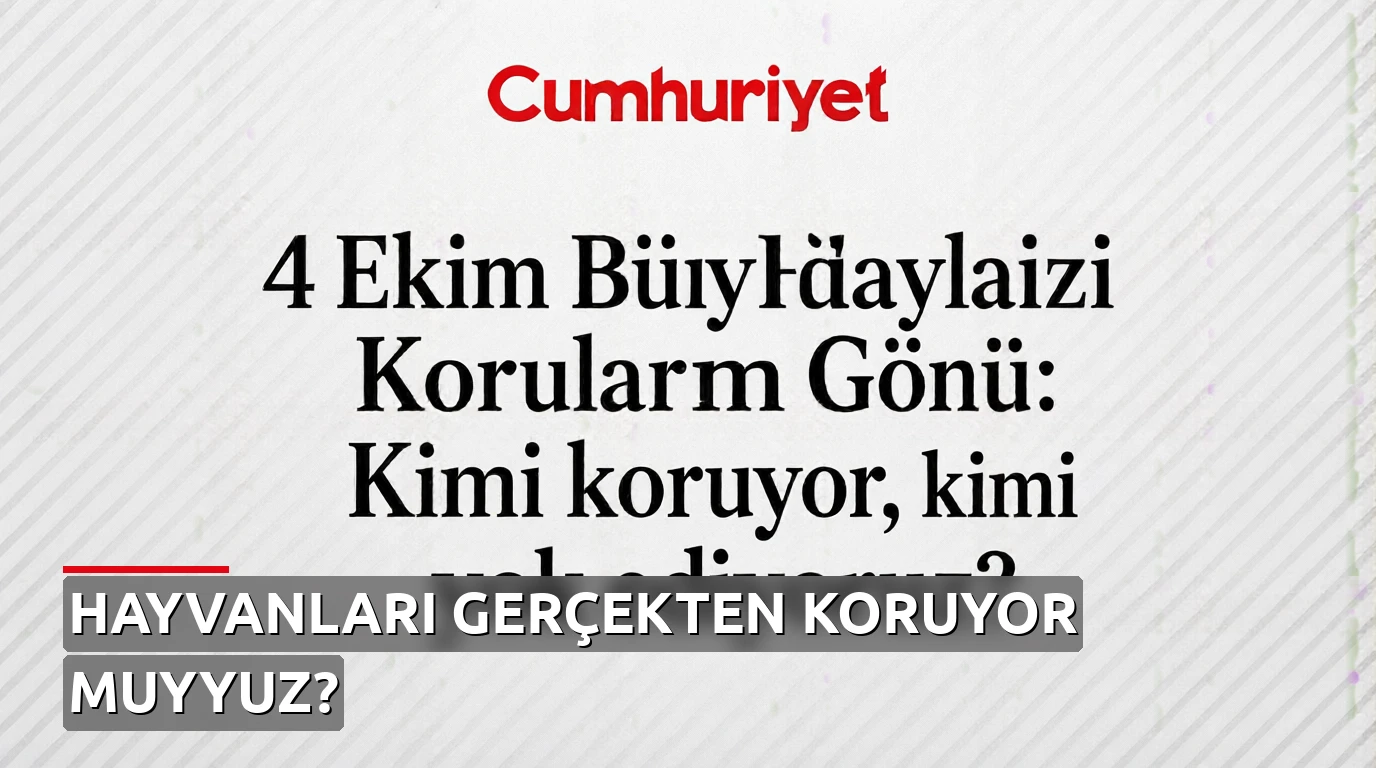 4 Ekim Dünya Hayvanları Koruma Günü: Kimi koruyor, kimi yok ediyoruz?