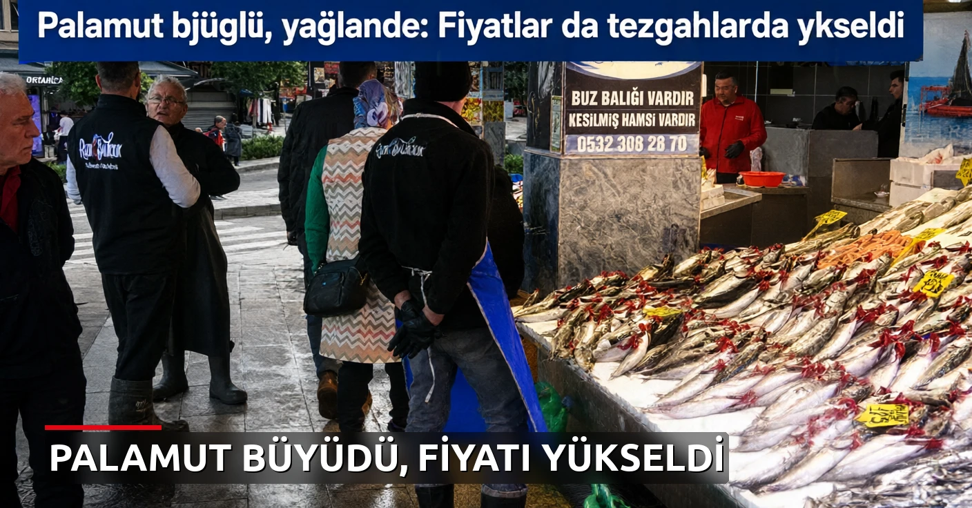 Palamut büyüdü, yağlandı: Fiyatlar da tezgahlarda yükseldi