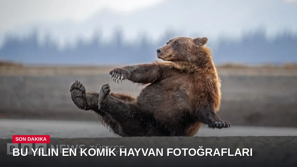 2026'nın en komik 10 hayvan fotoğrafı