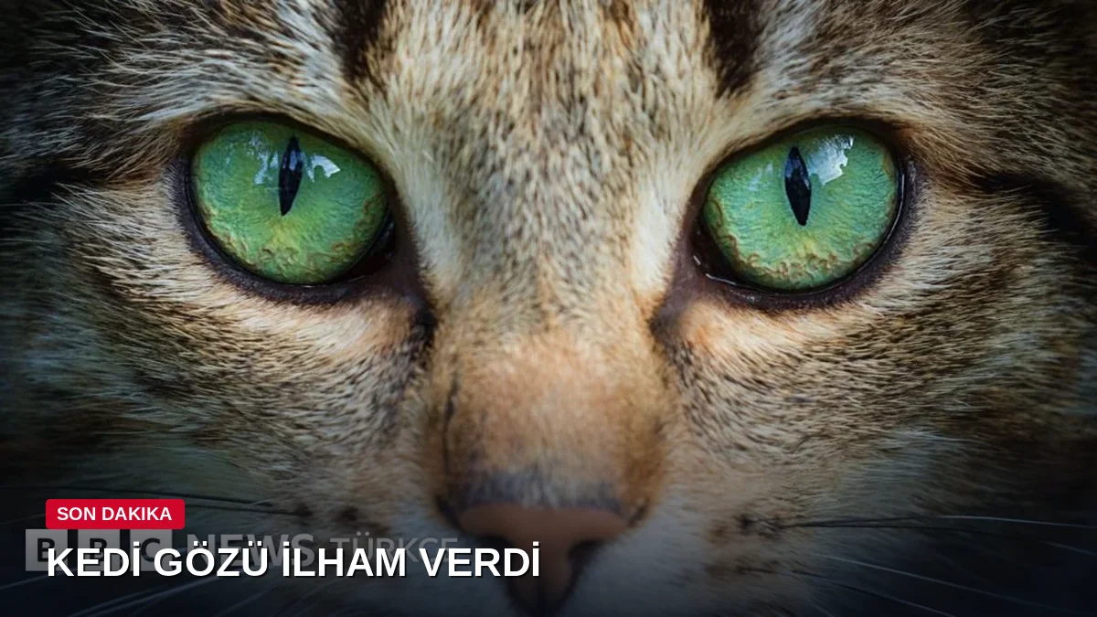 Kedi Gözlerinden İlham Alan Robot Kameraları Geliştiriliyor