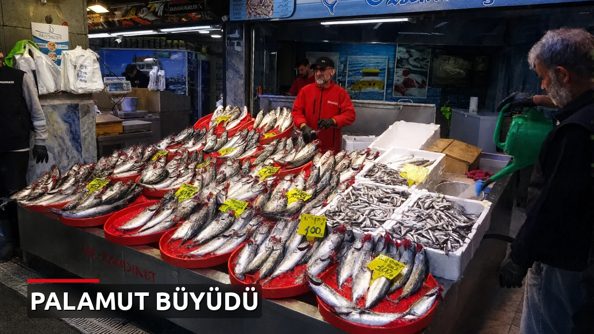 Palamut irileşti! Ağırlığı 1 kiloya ulaştı, fiyatlar güncellendi