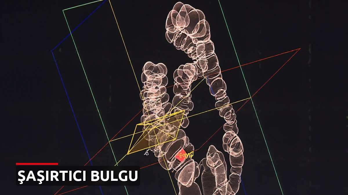 Kolon kanserinin yayılmasını sağlayan mekanizma çözüldü