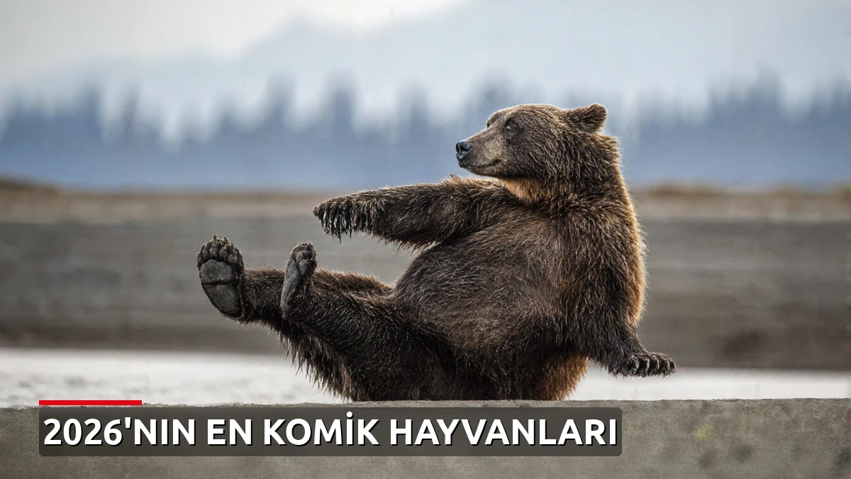 2026'nın en komik 10 hayvan fotoğrafı belli oldu