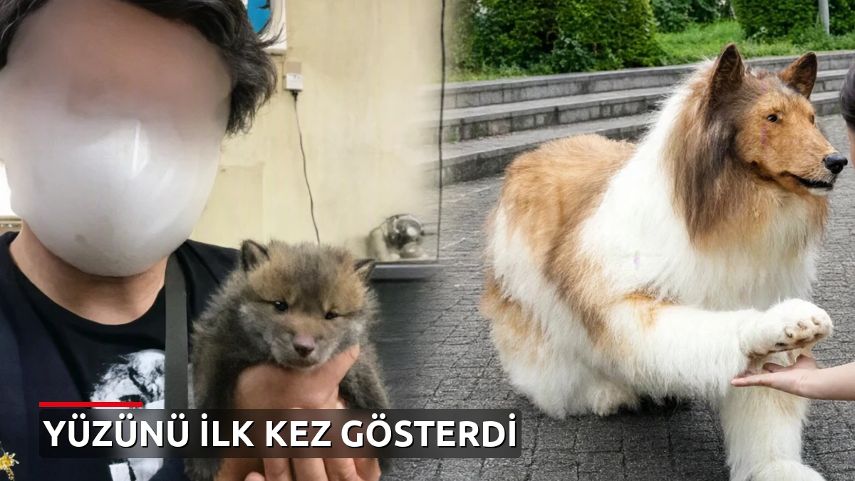 Köpek olmak için 20 bin dolar harcamıştı: Yüzünü nihayet gösterdi