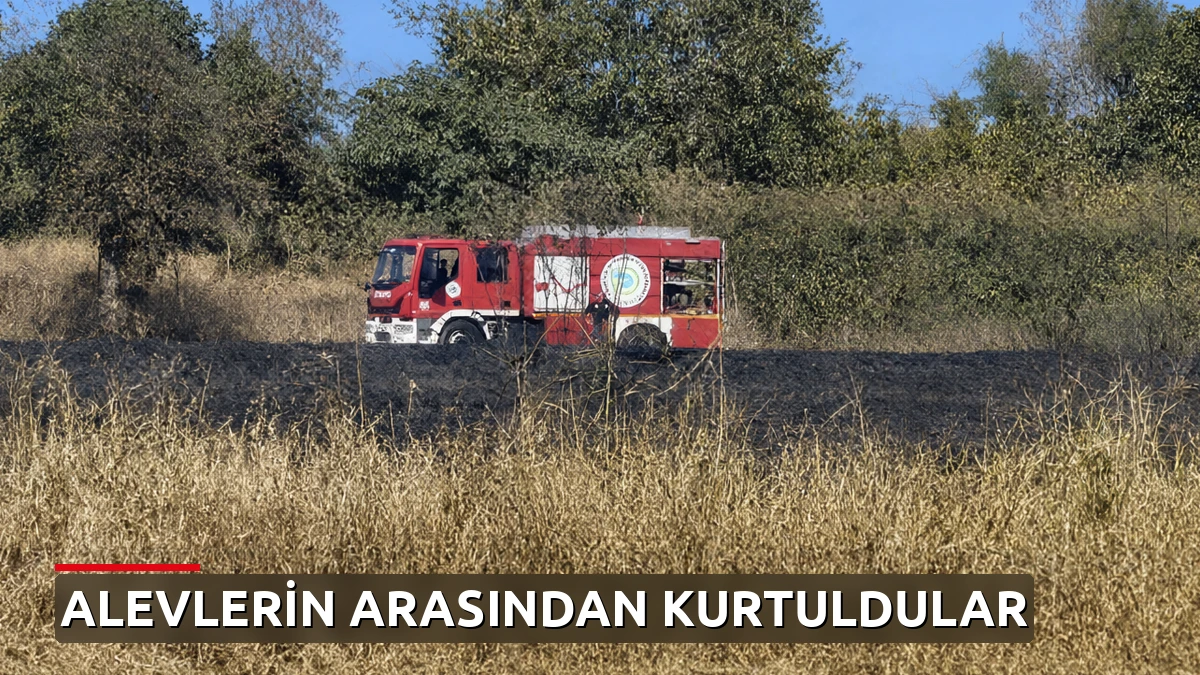 İtfaiye ekipleri yangını bastırdı, alevlerin arasında kalan kaplumbağayı da kurtardı