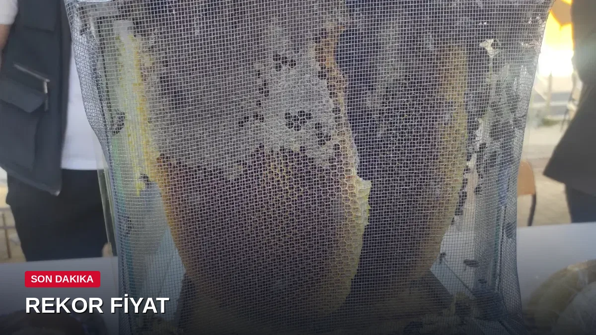 Batman'da rekor: 1 kilogram bal 400 bin liraya satıldı