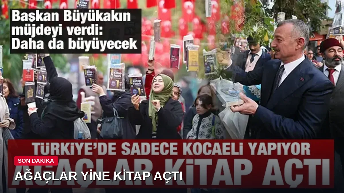 Türkiye'de Sadece Kocaeli Yapıyor: Ağaçlar Yine Kitap Açtı