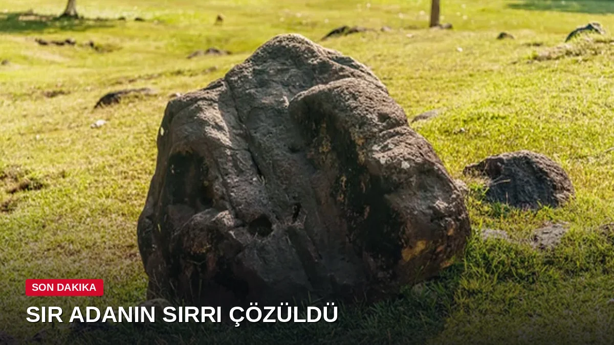Ahır kapısını tutmak için kullanılan taşın değeri servet çıktı