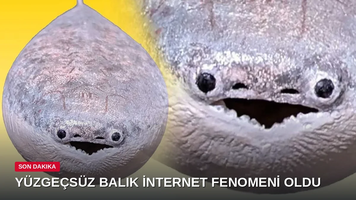 Çenesi de yüzgeci de yok: 450 milyon yıllık antik balık, mezarından çıkıp internetin maskotu oldu