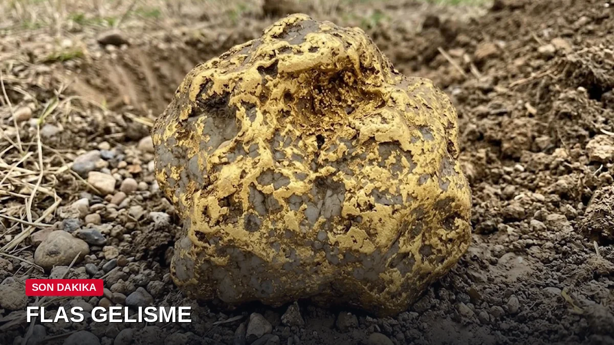 Bahçesini kazarken bulduğu 9 kiloluk altın servet fiyatına satıldı
